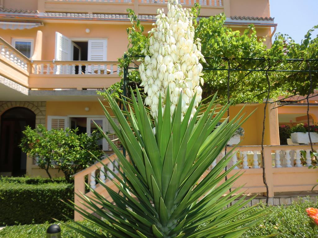 Guest House Sandra Rab Town Bagian luar foto